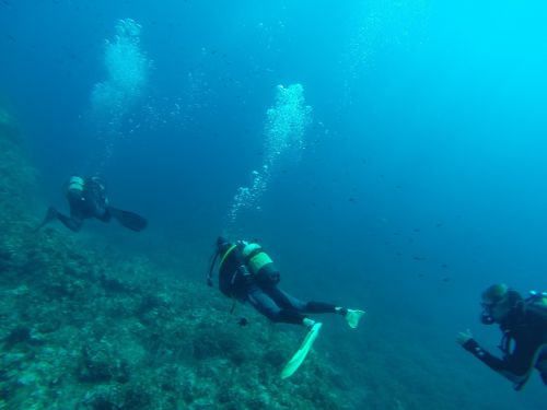 diver diving sea