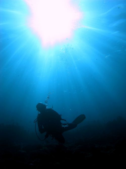 diver in sunlight scuba underwater