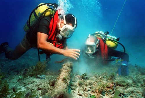 divers diving sea