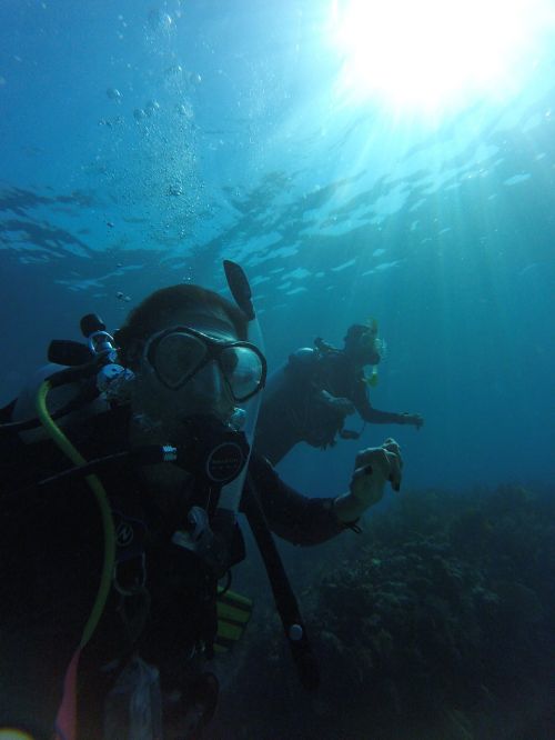 diving mar divers