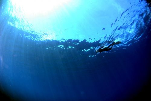 diving underwater sea