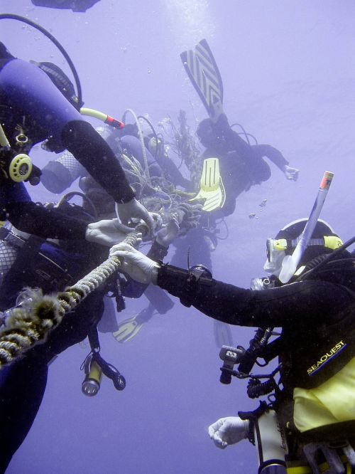 diving underwater divers