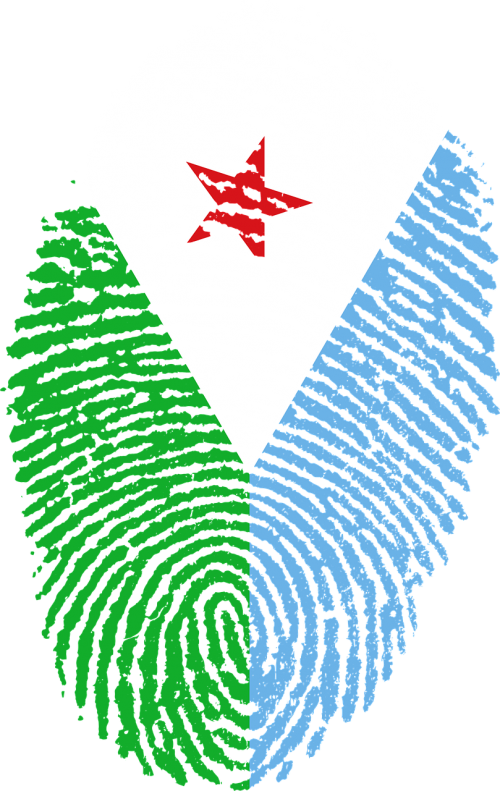 djibouti flag fingerprint