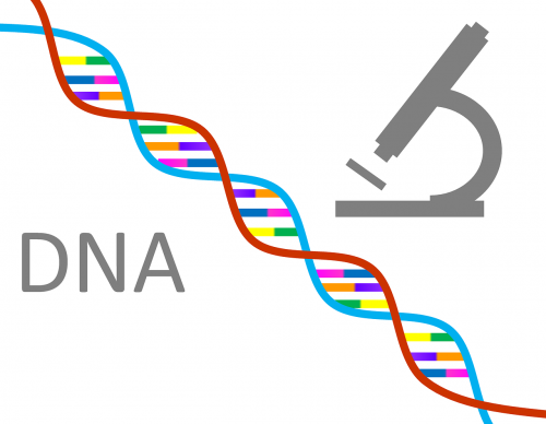 dna genetics science