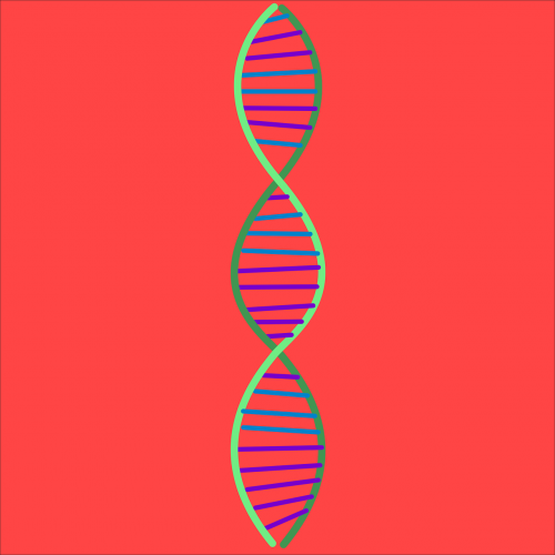 dna science helix
