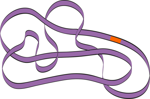 dna bacteria strand