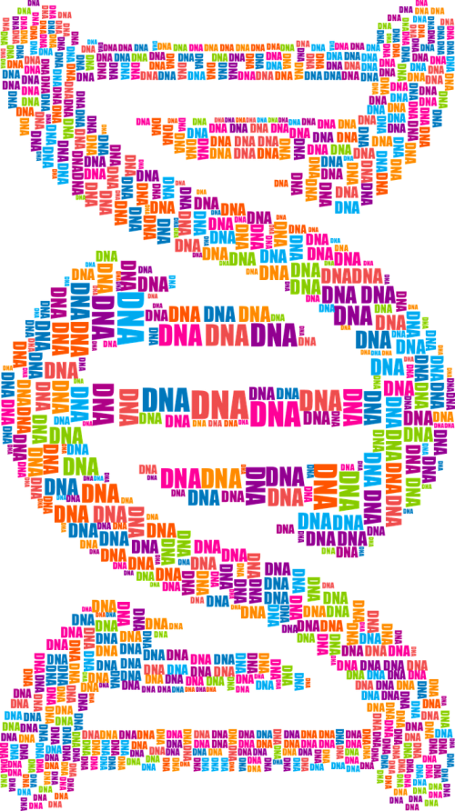 dna deoxyribonucleic acid typography