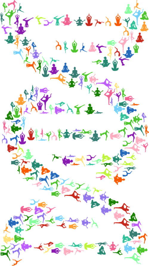 dna deoxyribonucleic acid yoga