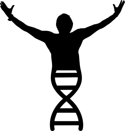 dna deoxyribonucleic acid people