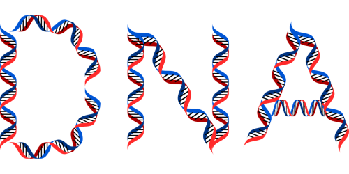 dna deoxyribonucleic acid typography