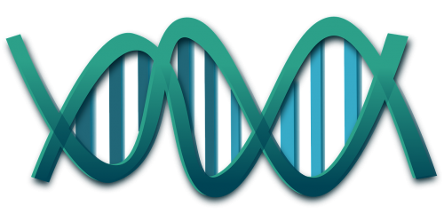 dna helix genes