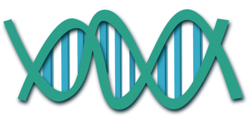 dna helix science