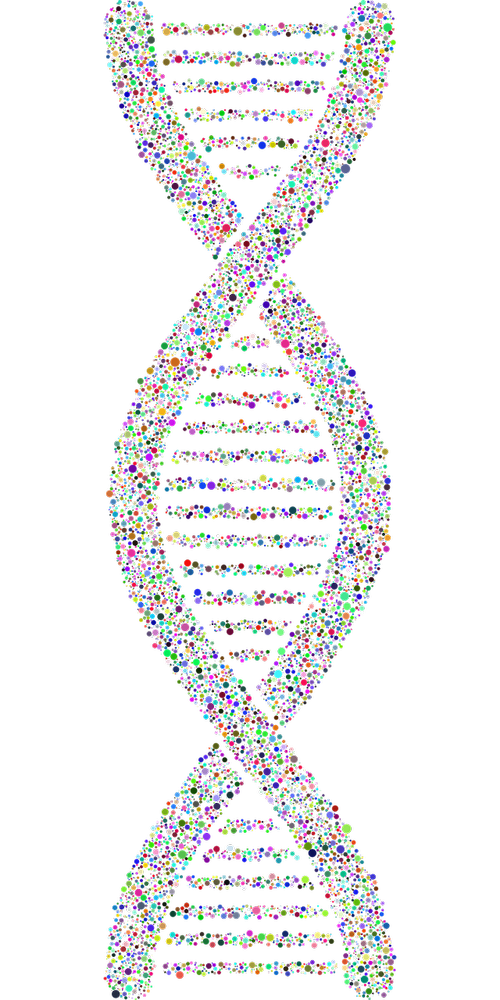 dna  helix  circles