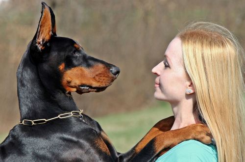 doberman dog blonde woman