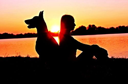 doberman woman silhouette