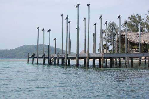 dock  ocean  pier