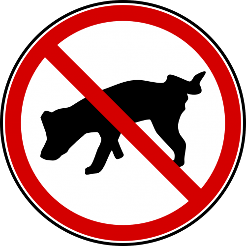 dog ban prohibited