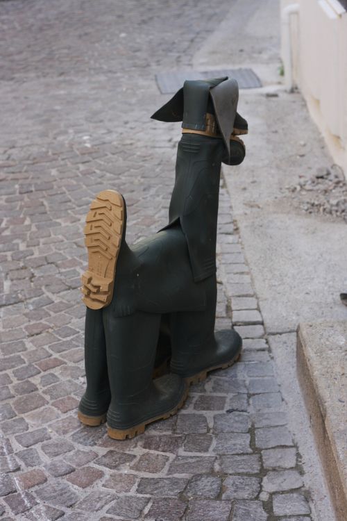dog wellingtons gum boots