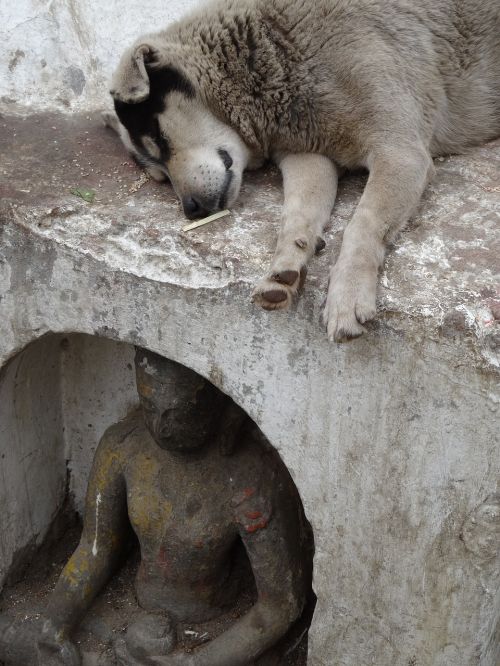 dog statue buddha
