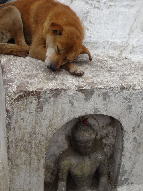 dog statue buddha