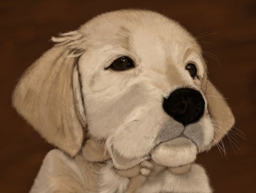 dog puppy digital artwork