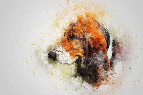 dog pet art