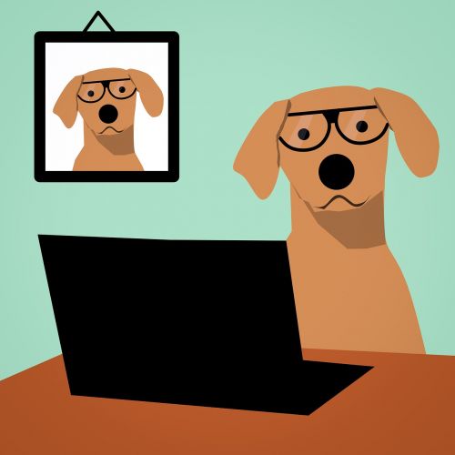 dog laptop computer