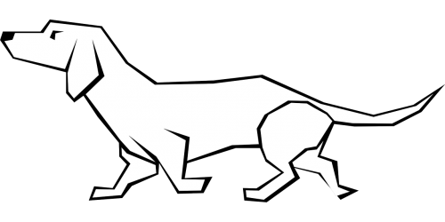 dog animal dachshund
