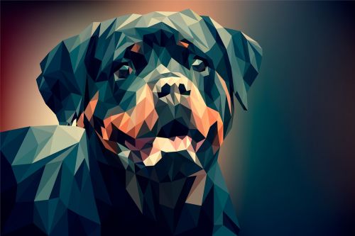 dog illustration background