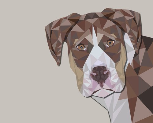 dog  geometric  animal