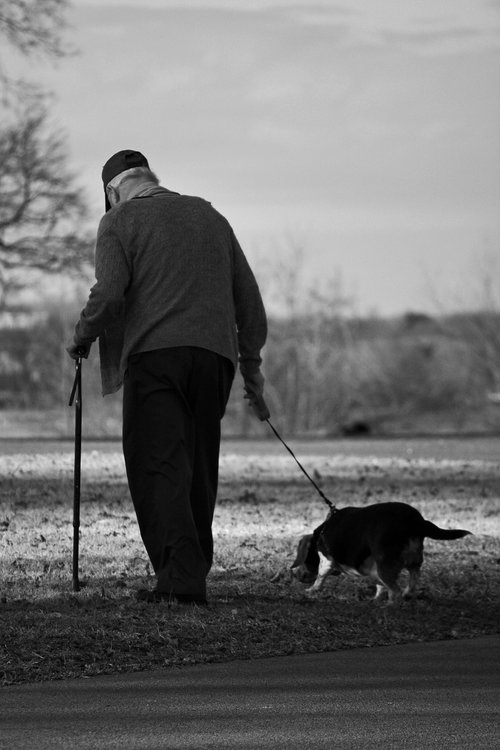 dog  old man  walk