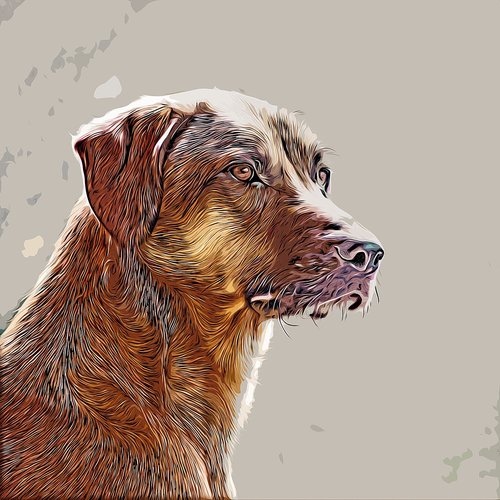 dog  portrait  drawing
