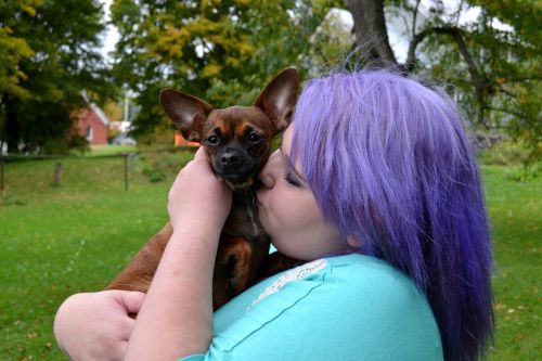 dog puppy kissing