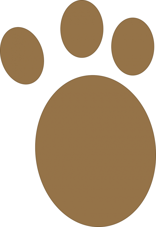 dog paw brown