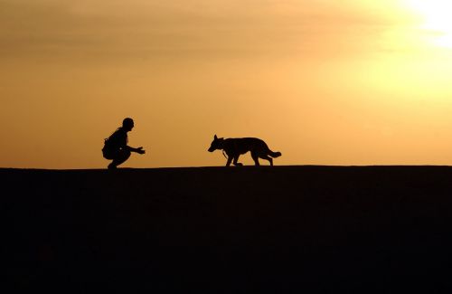 dog trainer silhouettes