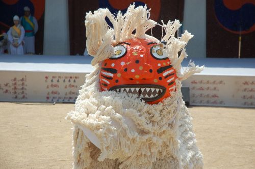 dog costume traditional