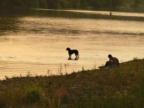 dog river water