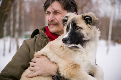 dog and man dog puppy