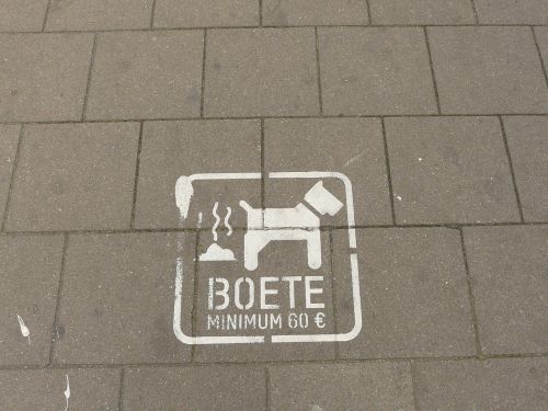 dog booger fine forbidden