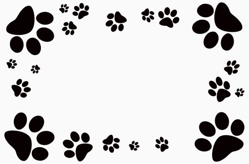 Dog Footprint Frame
