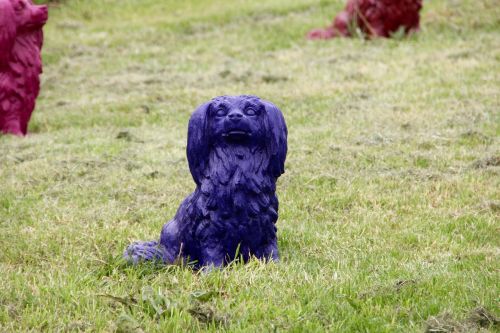 dog park dog decoration