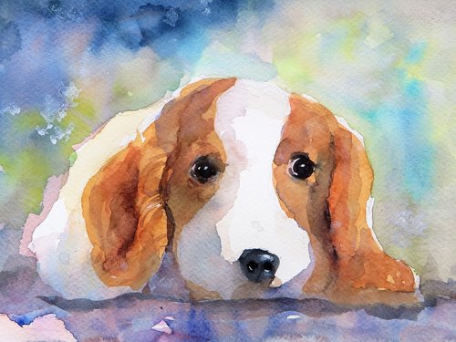 dog portrait  watercolor  art