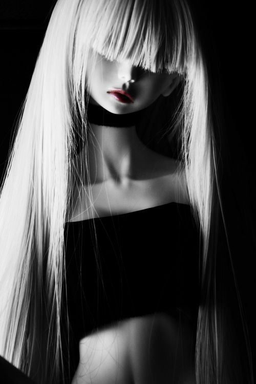 doll fashion doll model