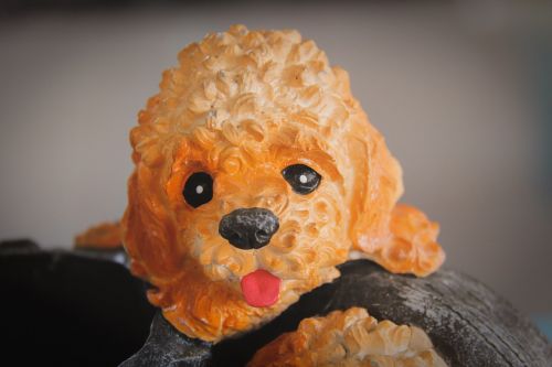 doll dog stucco