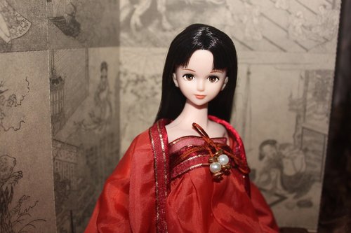 doll  still life  china wind