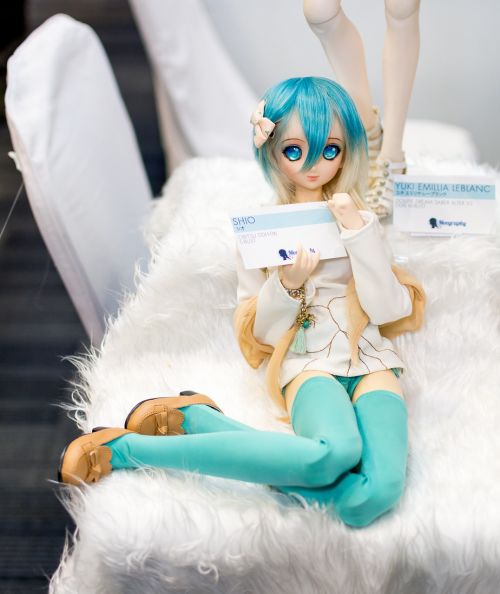 doll dollfie figure