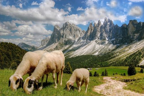 dolomites mountains south tyrol