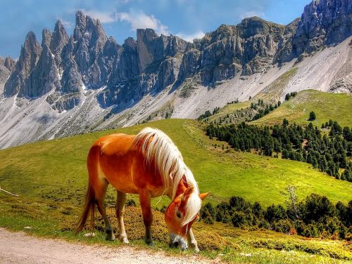 dolomites mountains south tyrol