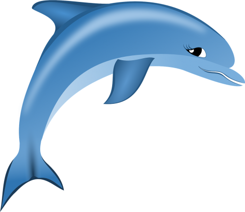 dolphin sea free vector graphics