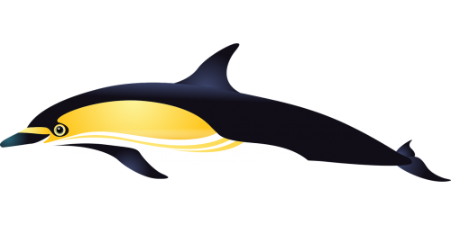 dolphin sea fish